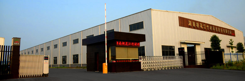 十屆全國(guó)人大常委會(huì)副委員長(zhǎng)顧秀蓮參加第十六屆中國(guó)質(zhì)量高層論壇